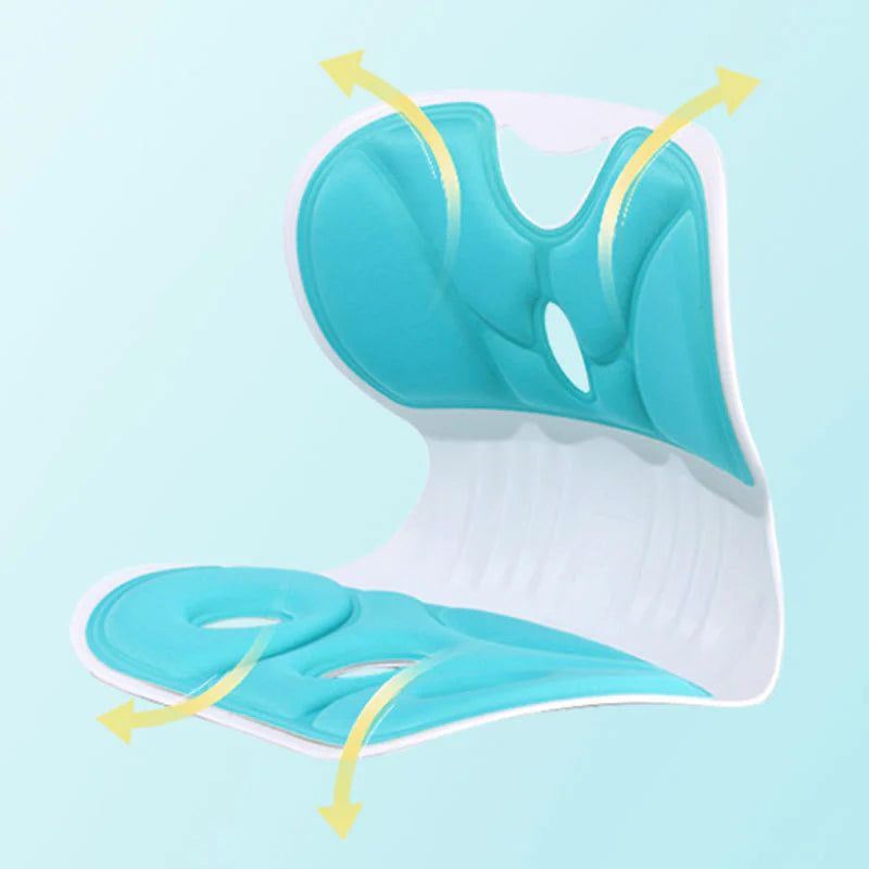 Ergonomic Lumbar Support Cushion