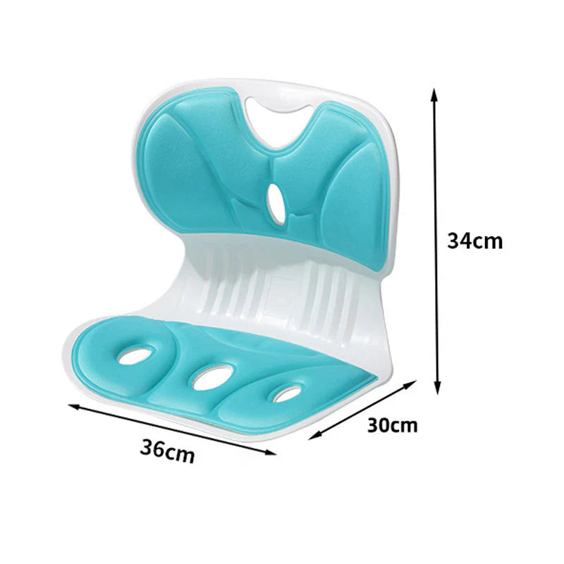 Ergonomic Lumbar Support Cushion